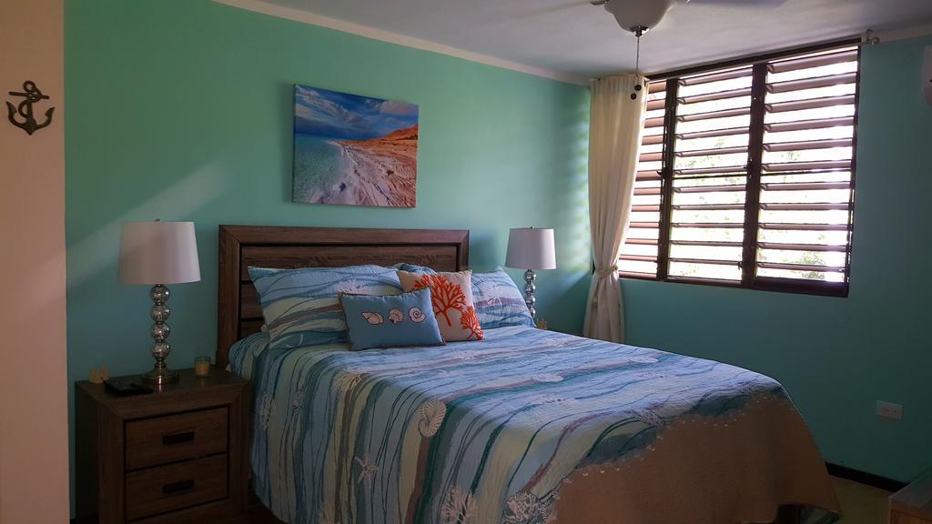 Fully Air-Conditioned Beach Front Penthouse Apartment Naguabo 외부 사진