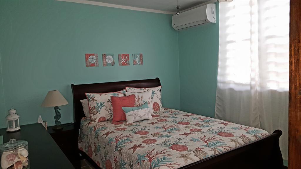 Fully Air-Conditioned Beach Front Penthouse Apartment Naguabo 외부 사진